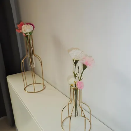 O Zee App,garage 200m En Centrum Apartment